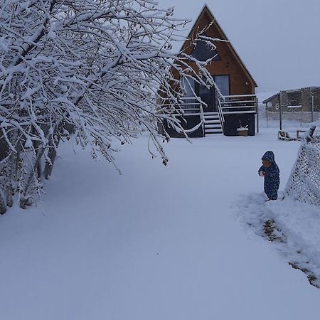 Thomas' Hut Apartamento Kazbegi Exterior foto