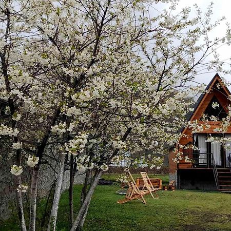 Thomas' Hut Apartamento Kazbegi Exterior foto