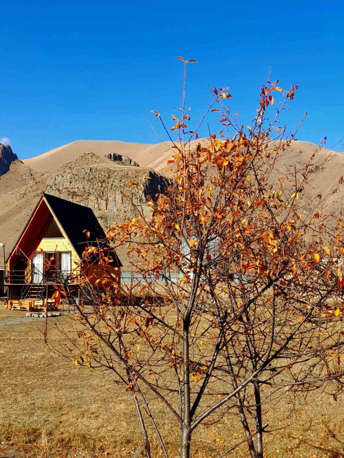 Thomas' Hut Apartamento Kazbegi Exterior foto