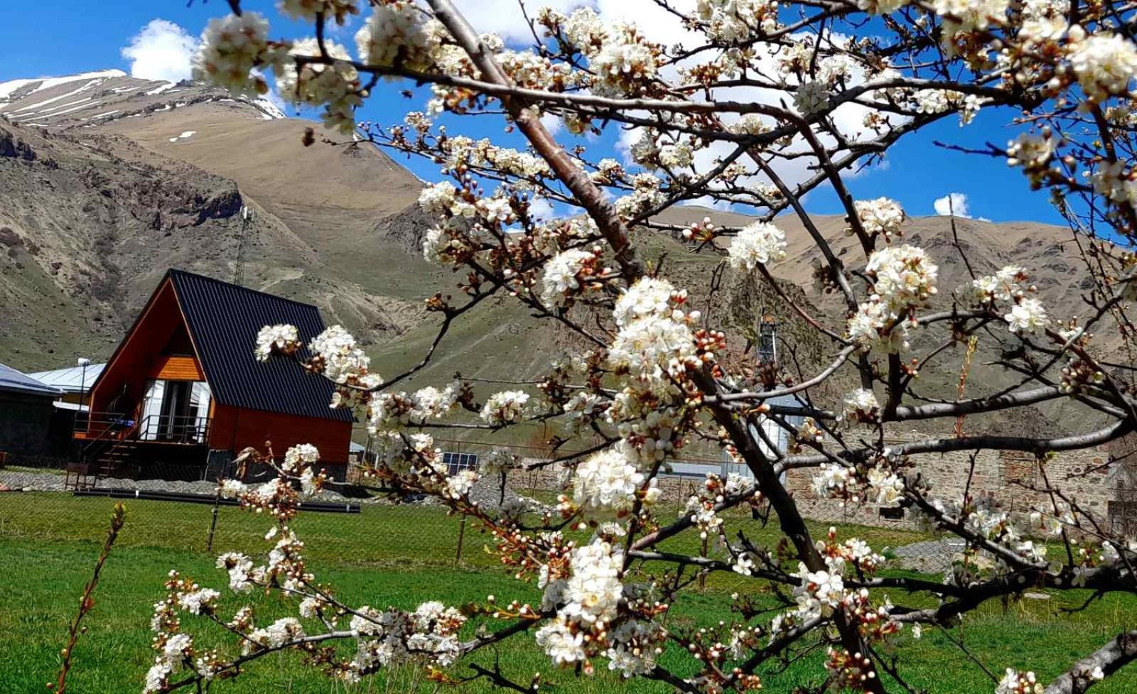 Thomas' Hut Apartamento Kazbegi Exterior foto