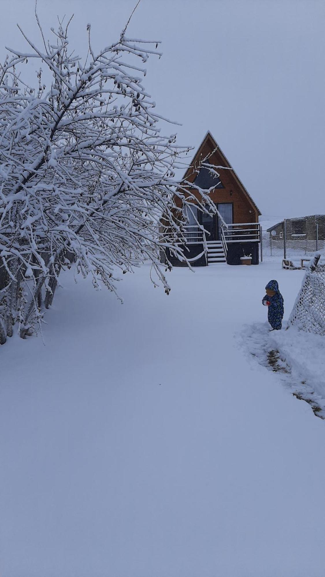 Thomas' Hut Apartamento Kazbegi Exterior foto