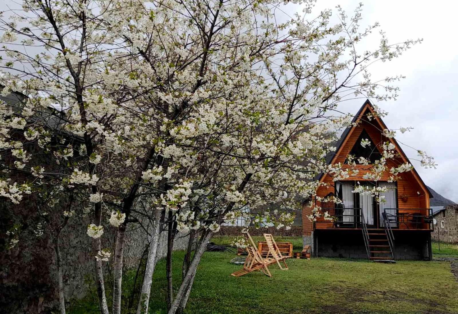 Thomas' Hut Apartamento Kazbegi Exterior foto