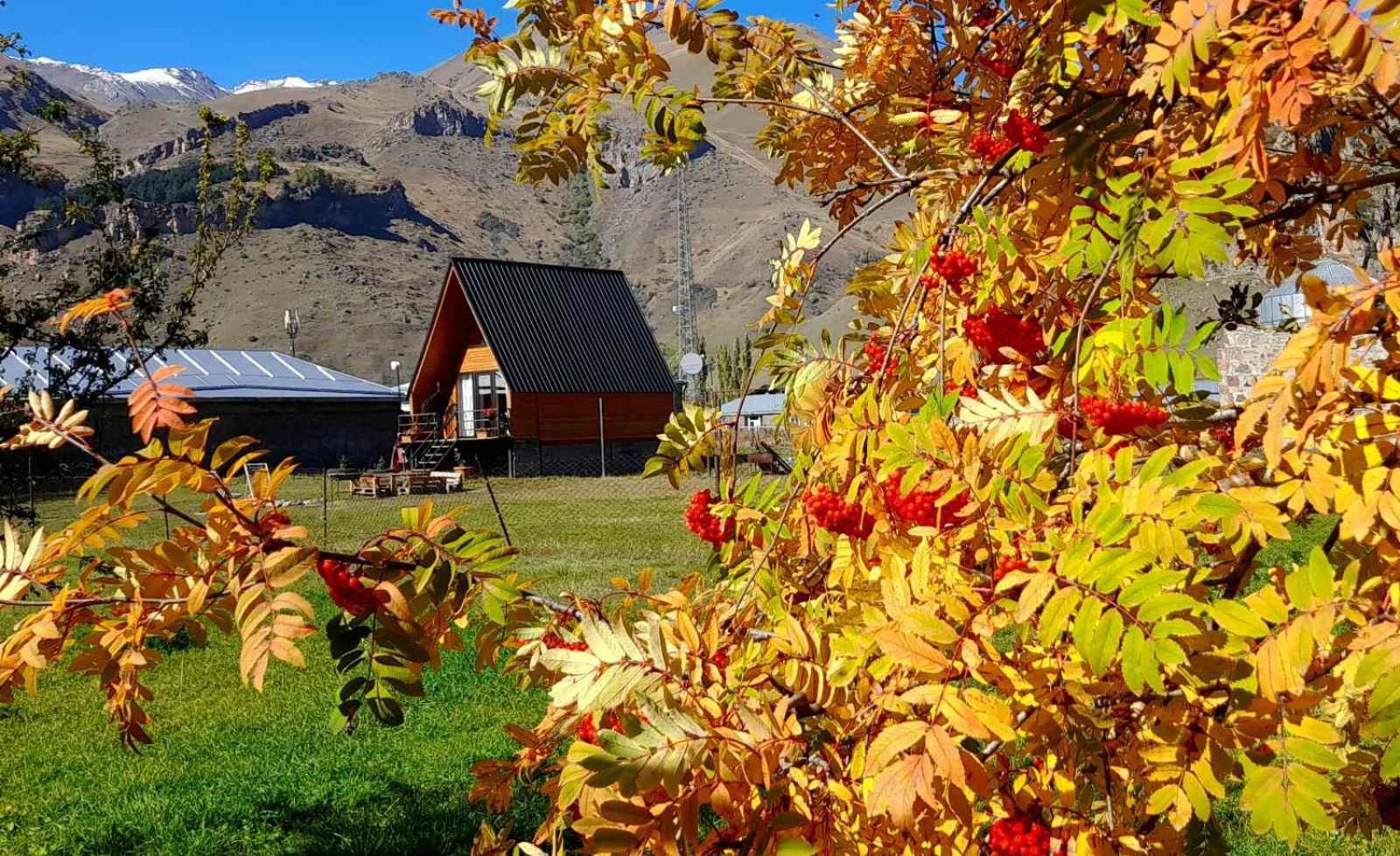 Thomas' Hut Apartamento Kazbegi Exterior foto